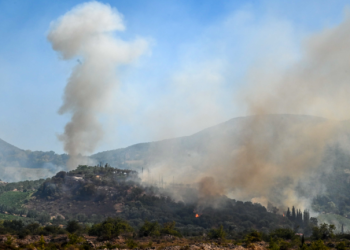 Πυρκαγιά σε δασική έκταση στο Κουνουπέλι Ηλείας