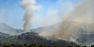 Πυρκαγιά σε δασική έκταση στο Κουνουπέλι Ηλείας