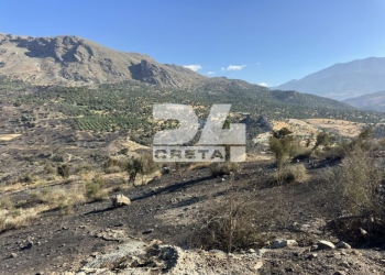 Πυρκαγιά στο νότιο Ρέθυμνο: Μνημείο για τους δύο πυροσβέστες που έχασαν τη ζωή τους – «Αγώνας δρόμου» για την καταγραφή των ζημιών