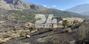Πυρκαγιά στο νότιο Ρέθυμνο: Μνημείο για τους δύο πυροσβέστες που έχασαν τη ζωή τους – «Αγώνας δρόμου» για την καταγραφή των ζημιών