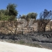 Πυρκαγιά στο Ρέθυμνο: Αύριο στον ανακριτή ο υπεύθυνος εκμετάλλευσης δικτύου του ΔΕΔΔΗΕ
