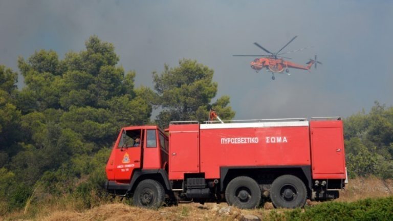 Πυρκαγιά στο Θέρμο Αιτωλοακαρνανίας, ανάμεσα στους οικισμούς Δρυμώνας και Κοσκινάς