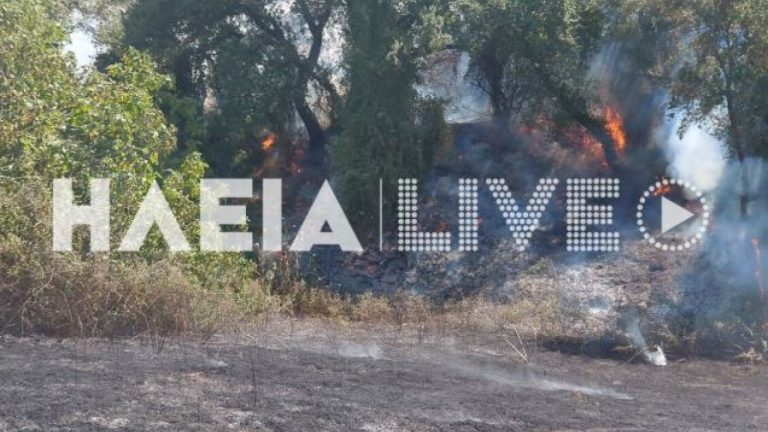 Πυρκαγιά στο Τραγανό Ηλείας- Δείτε φωτογραφίες