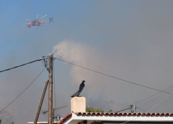 Πυρκαγιές στη Σαλαμίνα: Εντοπίστηκαν δύο νεκροί