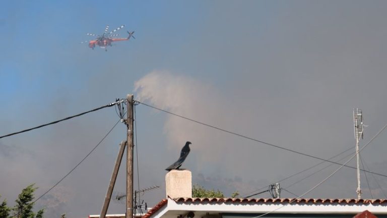 Πυρκαγιές στη Σαλαμίνα: Εντοπίστηκαν δύο νεκροί