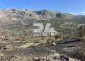 Πυρκαγιές στο νότιο Ρέθυμνο: Τι ισχύει για τις πληγείσες επιχειρήσεις