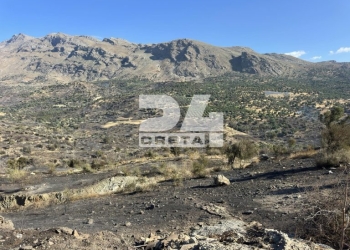 Πυρκαγιές: Τι έδειξαν οι αυτοψίες στο Ρέθυμνο
