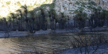 Ρέθυμνο: Αυτές είναι οι τρεις νέες δράσεις στήριξης για τους πυρόπληκτους στον Δήμο Αγ. Βασιλείου
