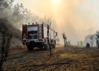 Ρέθυμνο: Σε ύφεση η φωτιά στα Σελλιά χωρίς ενεργό μέτωπο – Παραμένουν στην περιοχή οι δυνάμεις της πυροσβεστικής