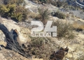 Ρέθυμνο: Στο Περιφερειακό Συμβούλιο τα μέτρα αντιπυρικής προστασίας και οι συνέπειες της μεγάλης φωτιάς