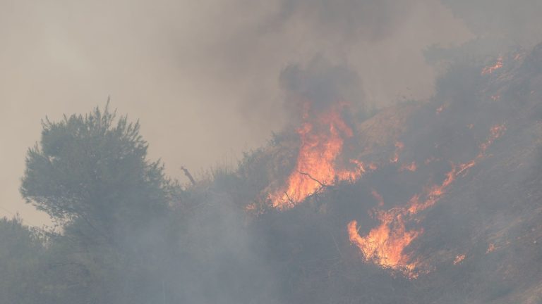 Ρέθυμνο: Τρεις νέες δράσεις στήριξης για τους πυρόπληκτους στον Δήμο Αγ. Βασιλείου