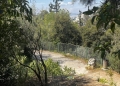 Σε επιφυλακή ο Δήμος Αθηναίων για τις πυρκαγιές: «Κλειστός» από τα μεσάνυχτα ο λόφος Φινόπουλου
