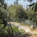 Σε επιφυλακή ο Δήμος Αθηναίων για τις πυρκαγιές: «Κλειστός» από τα μεσάνυχτα ο λόφος Φινόπουλου