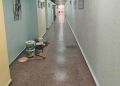 Σε πλήρη εξέλιξη οι συντηρήσεις σχολικών μονάδων σε πόλη και οικισμούς από το Δήμο Ηρακλείου