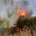 Στην Αγία Τριάδα η αποτίμηση των ζημιών από την πυρκαγιά – Προτεραιότητα η αποκατάσταση υποδομών και η στήριξη των πληγέντων