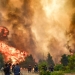 Στον ανακριτή αύριο οι δύο συλληφθέντες για τη μεγάλη πυρκαγιά που ξεκίνησε στη Βοιωτία