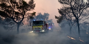 Στον ανακριτή σήμερα οι 2 συλληφθέντες για τη φωτιά στη Βοιωτία