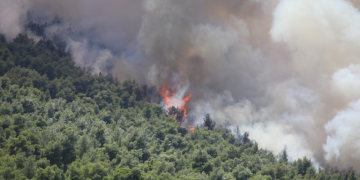 Στον εισαγγελέα οι δύο συλληφθέντες για την πυρκαγιά στη Βοιωτία - Αναζητείται ιδιοκτήτης εταιρείας ανεμογεννητριών