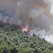 Στον εισαγγελέα οι δύο συλληφθέντες για την πυρκαγιά στη Βοιωτία - Αναζητείται ιδιοκτήτης εταιρείας ανεμογεννητριών