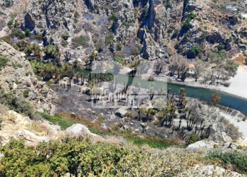 Στον «πάγο» η μελέτη πυροπροστασίας του Φοινικόδασους του Πρέβελη