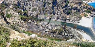 Στον «πάγο» η μελέτη πυροπροστασίας του Φοινικόδασους του Πρέβελη