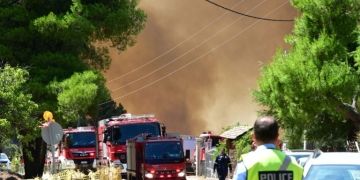Συλλήψεις σε Ραφήνα και Ίλιον: Έβαζαν ψησταριές σε ημέρες υψηλού κινδύνου για φωτιά