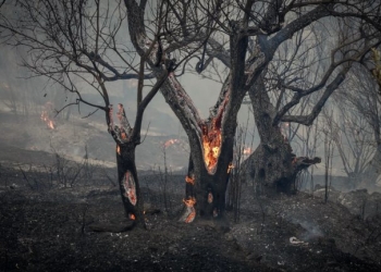 Συλλήψεις τριών ατόμων για τις πυρκαγιές σε Λέσβο και Κορινθία