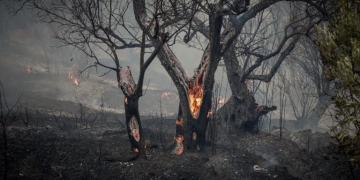 Συλλήψεις τριών ατόμων για τις πυρκαγιές σε Λέσβο και Κορινθία
