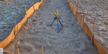 Τα…χελωνάκια ακύρωσαν το beach party!