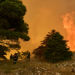 Τέταρτη νύχτα αγωνίας στη Δυτική Αττική - Μάχη με τις φλόγες σε Ψάθα και Λούμπα