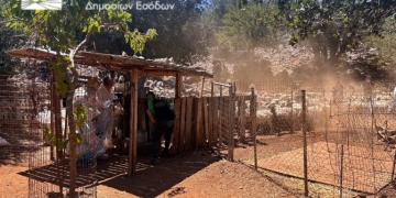 Τι έδειξαν οι έλεγχοι για αγροτικές επιδοτήσεις στα Ζωνιανά