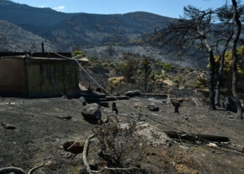 WWF: Περισσότερα από 180.000 στρέμματα καμένων δασικών εκτάσεων σε λίγες μόλις μέρες