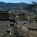 WWF: Περισσότερα από 180.000 στρέμματα καμένων δασικών εκτάσεων σε λίγες μόλις μέρες