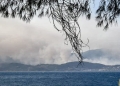 Ξεκίνησαν οι αυτοψίες στις πληγείσες περιοχές από την πυρκαγιά στο Σκάλωμα Φωκίδας