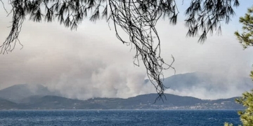 Ξεκίνησαν οι αυτοψίες στις πληγείσες περιοχές από την πυρκαγιά στο Σκάλωμα Φωκίδας