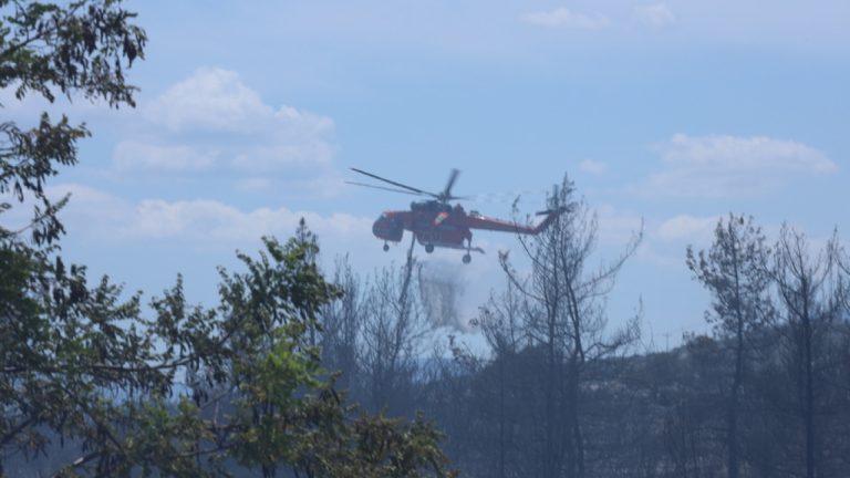 Υπό μερικό έλεγχο η φωτιά στη Μαμουλάδα Ναυπακτίας