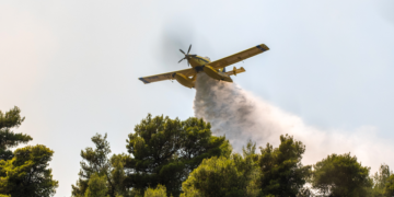 Υπό μερικό έλεγχο η πυρκαγιά στην περιοχή Ευκαρπία, στο Κιλκίς